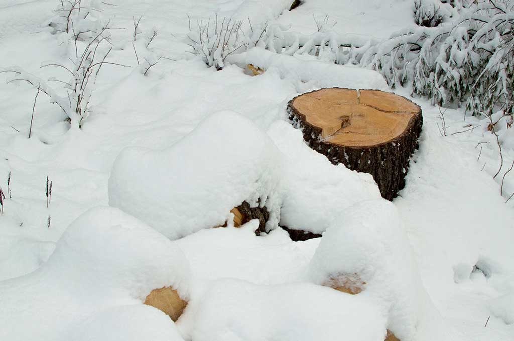 Vermont windstorm 